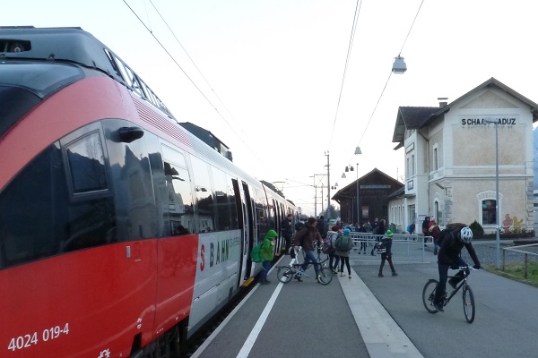 Tunnelspinne: die Realität Tunnelspinne: die Realität