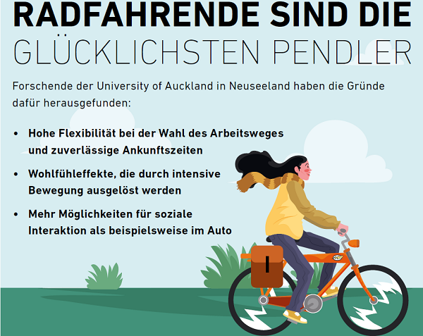 Auto und Bus/Fahrrad